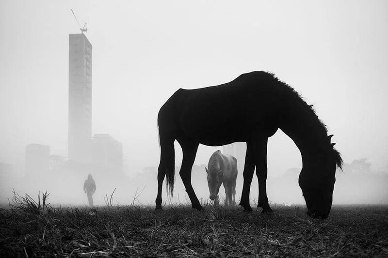 Navin-Kumar-Vatsa Navin-Kumar-Vatsa