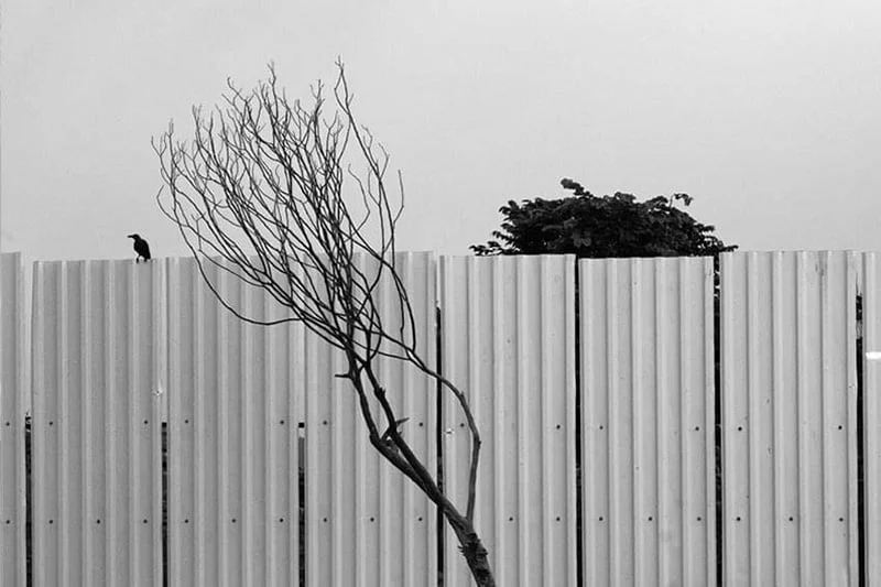 Prashant-Godbole Prashant-Godbole