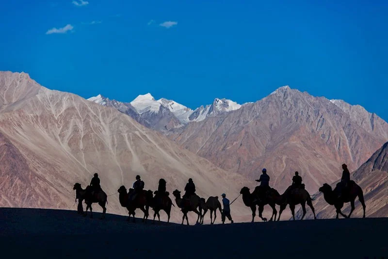 Umesh-Gogna Umesh Gogna