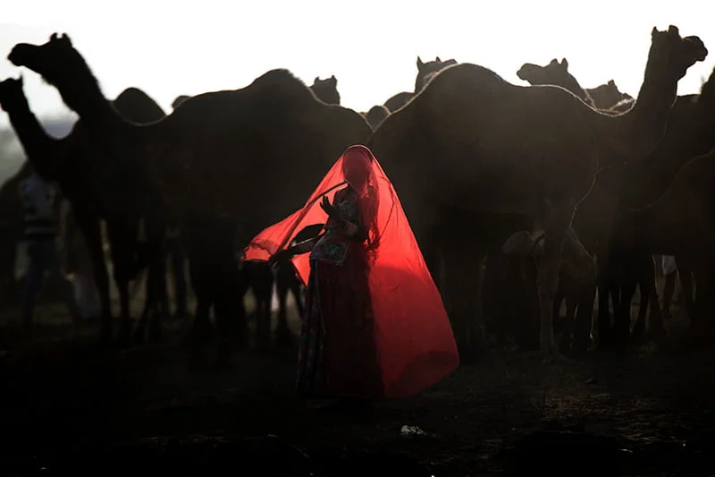 27-Shweta-Agrawal 27-Shweta-Agrawal