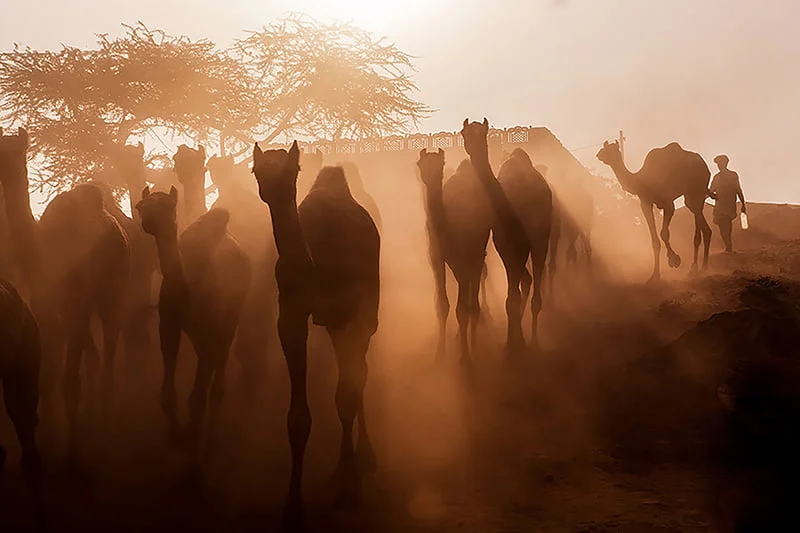 Kuntal-Paul Kuntal Paul