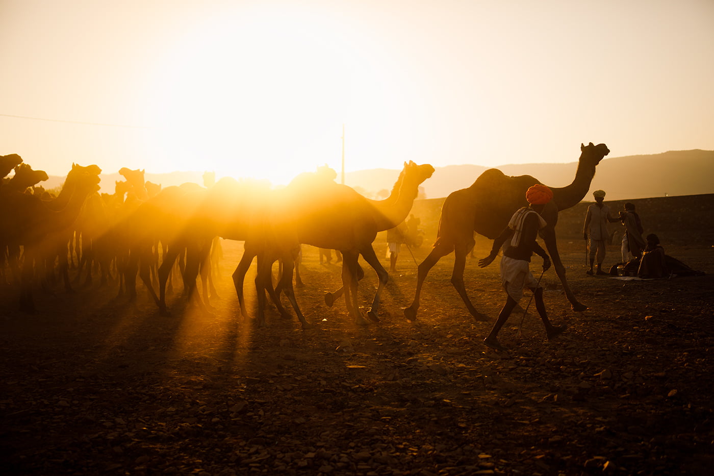 Pushkar Photo Tour