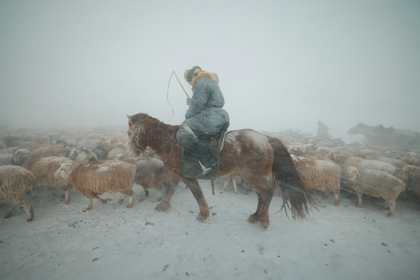 Eagle Hunter Yermyek’s son Akhtikek is migrating with his animals in the Altai mountains during a brutal snowstorm.