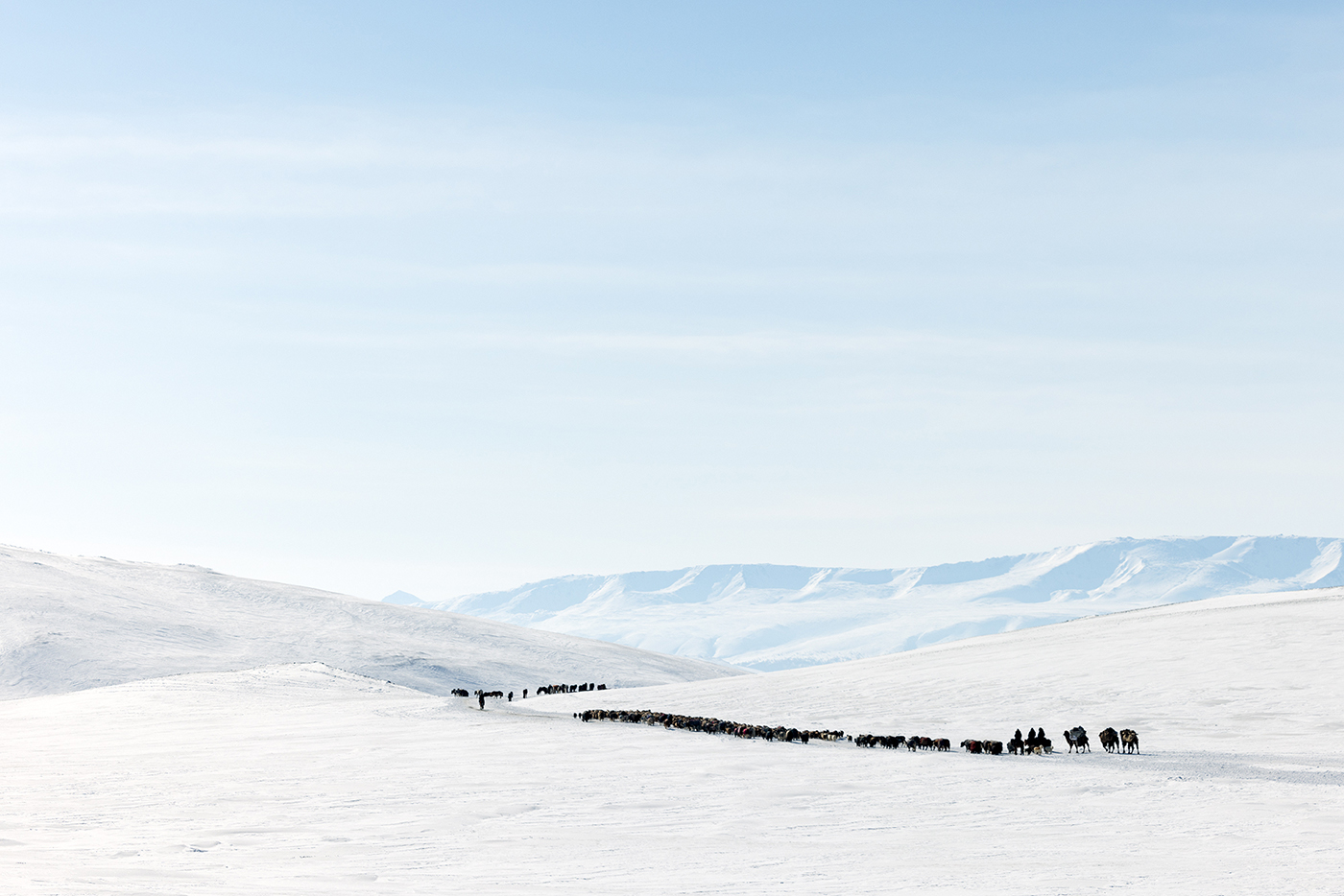 Eagle hunters migration, Mongolia