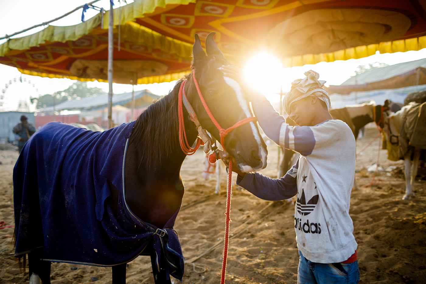 A young horse shepherd is spending some intimate time with his horse during Pushkar Mela, Rajasthan.
