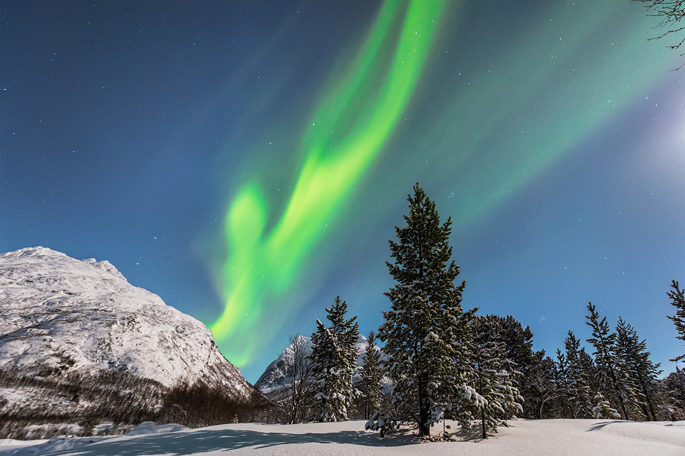 Konyak & Apatani Photo Tour