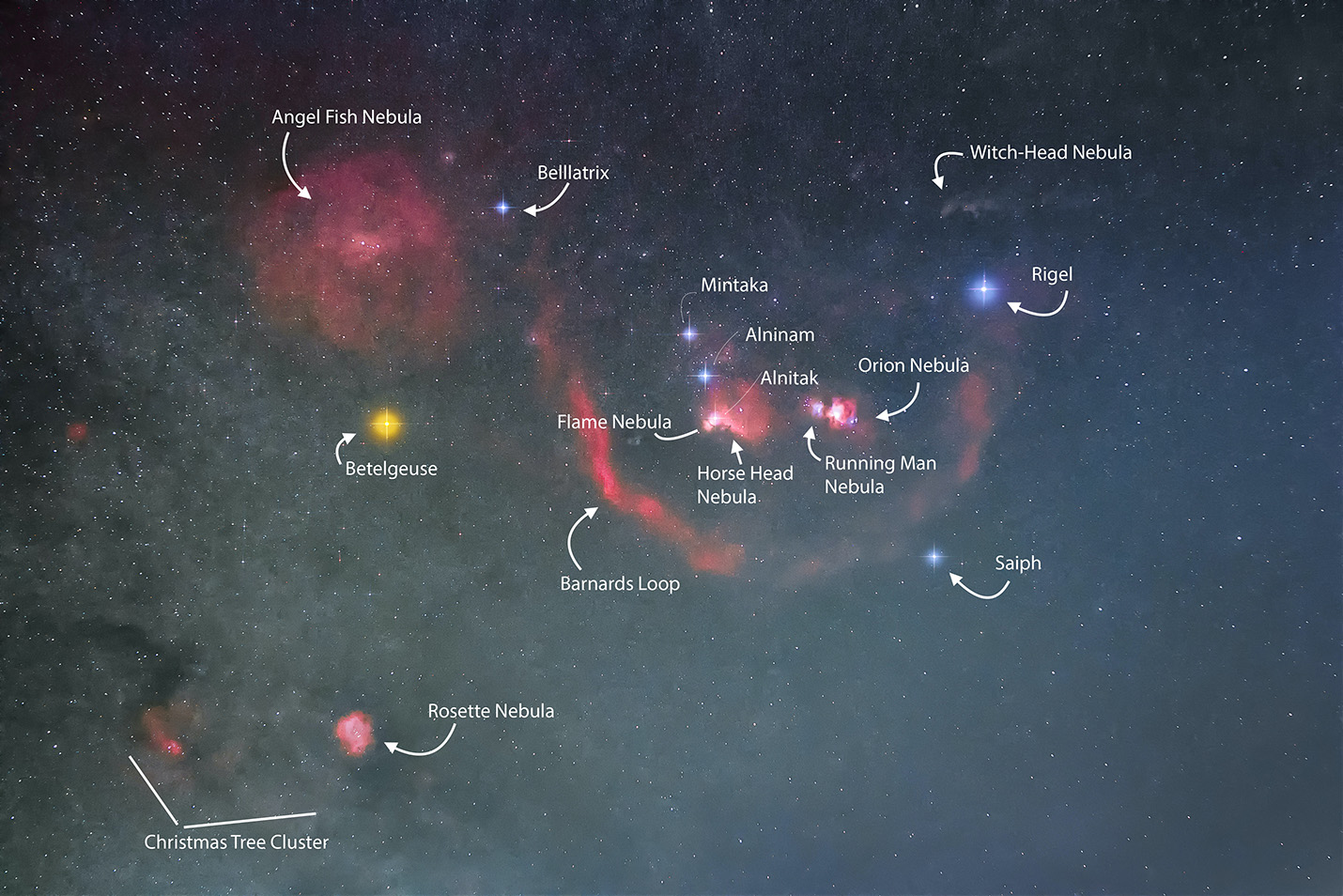 Orion
