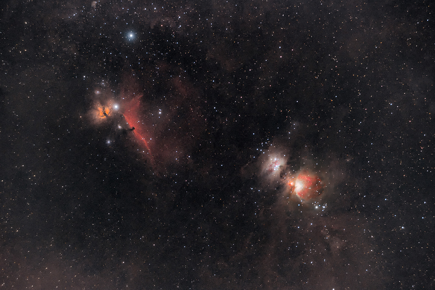 Orion