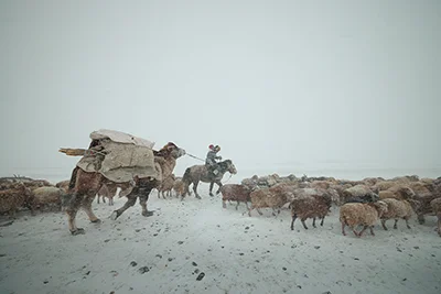Akhtikek, the Eagle Hunter Yermyek’s son, was migrating with his animals in the Altai mountains during a brutal snowstorm.