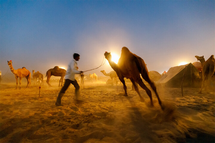 Pushkar Photo Tour